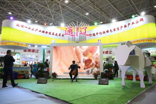 抖出家鄉(xiāng)農(nóng)產(chǎn)品——第八屆內(nèi)蒙古綠博會在國際會展中心盛大舉行
